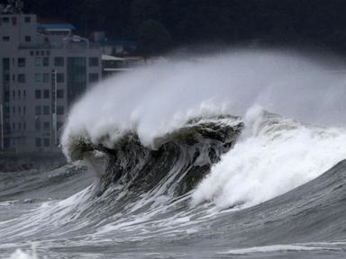 Typhoon leaves 20,000 homes without power in South Korea