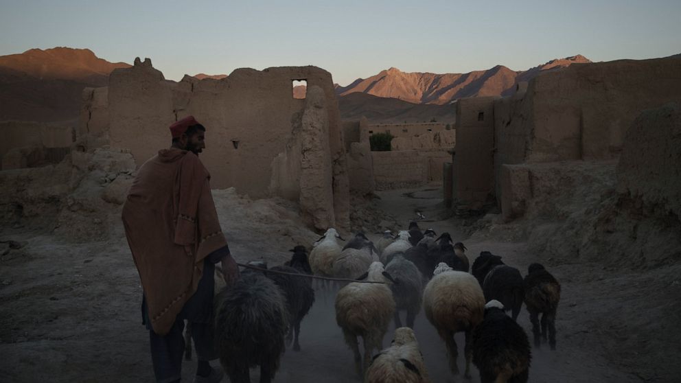 An Afghan man walks his sheep at Salar village, Wardak province, Afghanistan, Tuesday, Oct. 12, 2021. In urban centers, public discontent toward the Taliban is focused on threats to personal freedoms, including the rights of women. In Salar, these ba