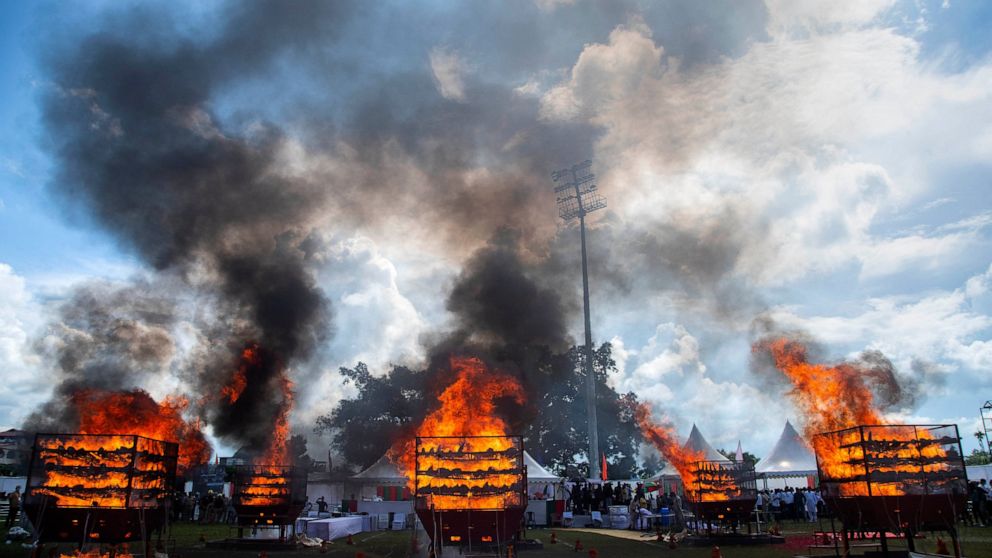 Indian officials burn rhino horns to stop illegal trade