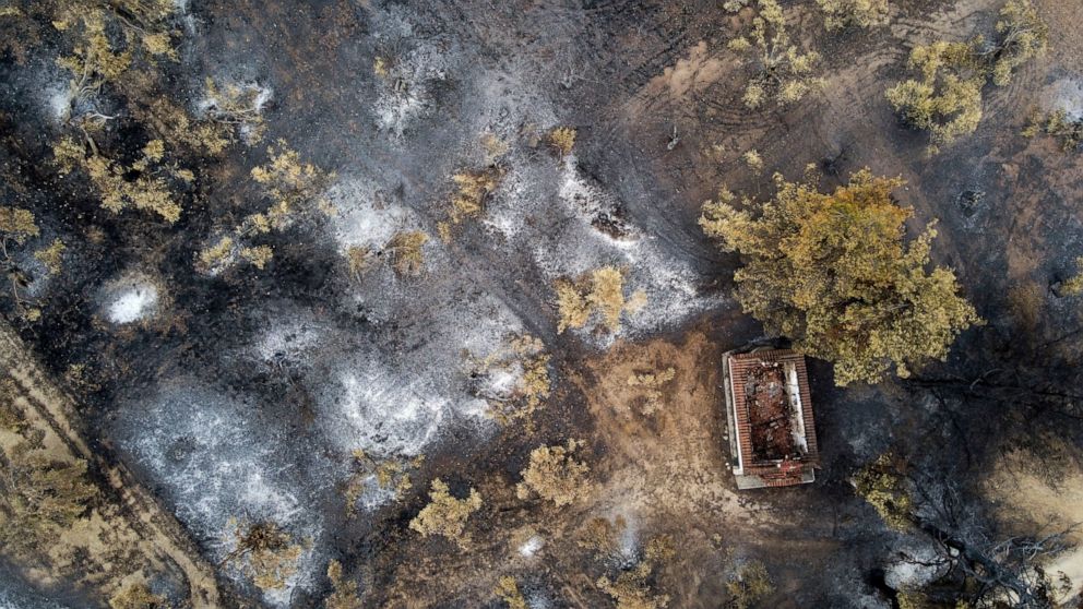 Greek wildfires a major ecological catastrophe, PM says