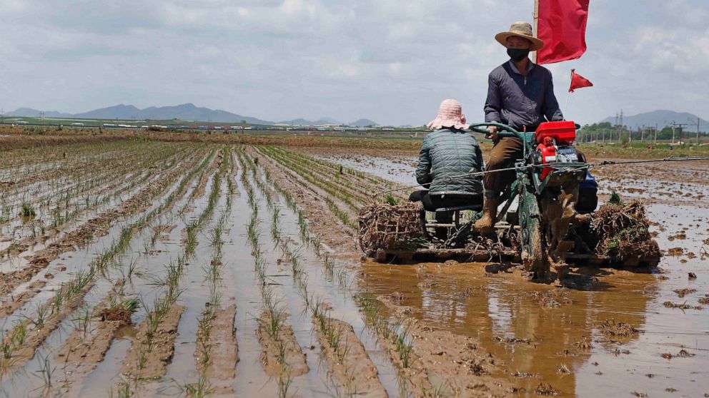 Seoul: North Korea releases army rice reserves amid shortage