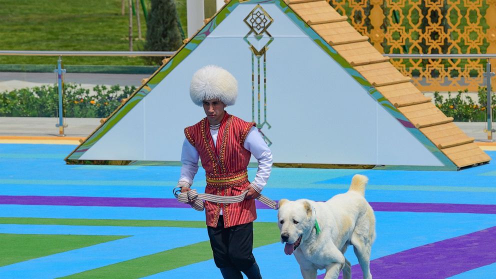 FILE - A man dressed in a national costume runs with his Alabay shepherd dog during Dog Day celebration in Ashgabat, Turkmenistan, April 25, 2021. The Central Asian nation of Turkmenistan is now requiring that its celebrated Alabay dog breed receive 