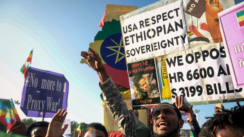Ethiopians protest against what they say is interference by outsiders in the country's internal affairs and against the Tigray People's Liberation Front (TPLF), the party of Tigray's fugitive leaders, at a rally organized by the city administration i
