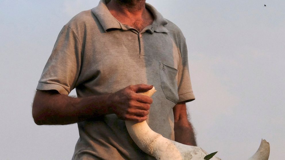Adaa Raauwendaal, a livestock farmer, shows the skull of one of his dead cows as a smoke rises from a fire behind him, at his property located on the border of Jacunda National Forest, in the Amazonian state of Rondonia, Brazil, Thursday, August 29, 