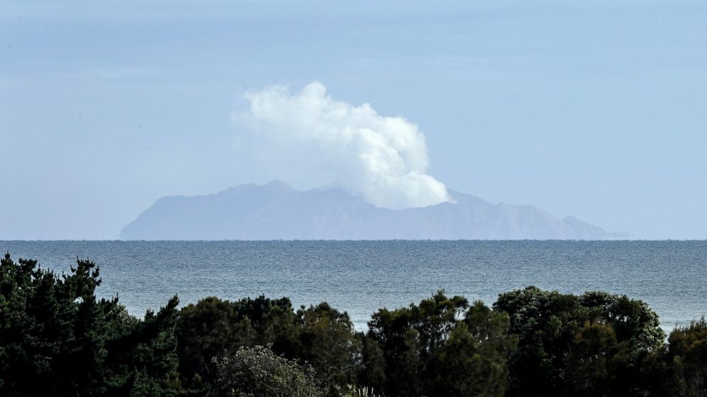 Plumes of steam rise above White Island off the coast of Whakatane, New Zealand, Wednesday, Dec. 11, 2019. Survivors of a powerful volcanic eruption in New Zealand on Monday Dec. 9 ran into the sea to escape the scalding steam and ash and emerged cov