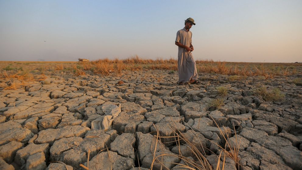 A fisherman walks across a dry patch of land in the marshes of southern Iraq which has suffered dire consequences from back to back drought and rising salinity levels, in Dhi Qar province, Iraq, Friday Sept. 2, 2022. (AP Photo/Anmar Khalil)