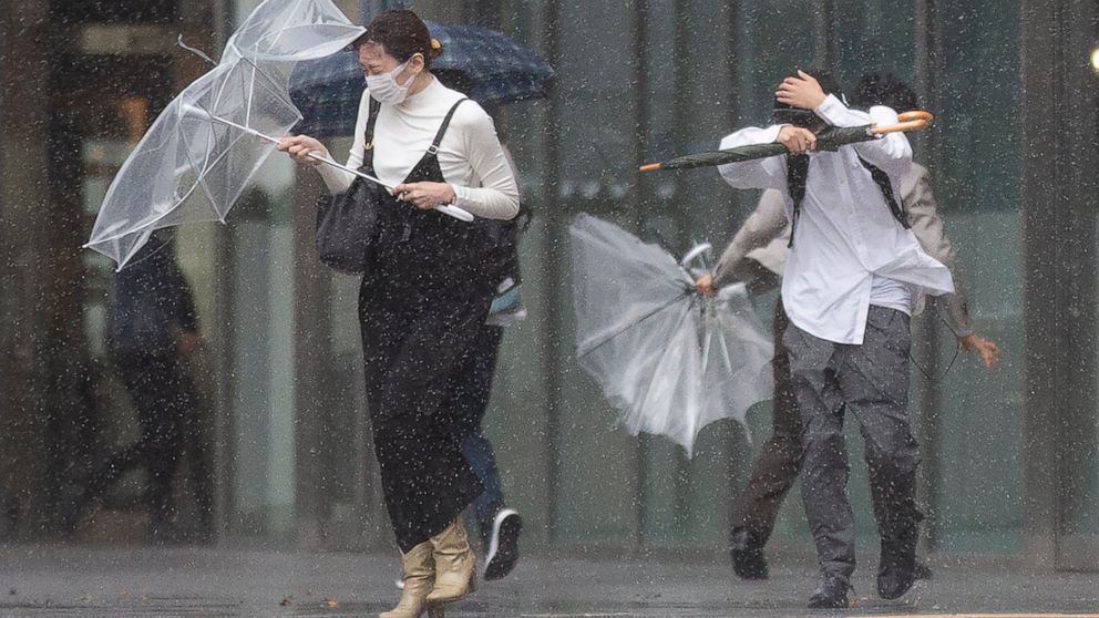 Strong typhoon near Tokyo disrupts some flights, trains
