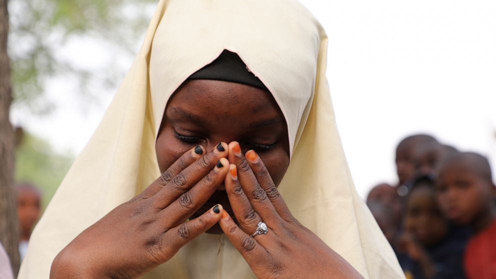 Hundreds of Nigerian schoolgirls arrested in mass kidnapping