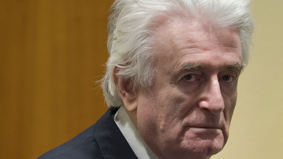 Bosnian Serb ex-leader Karadzic to spend life in UK prison