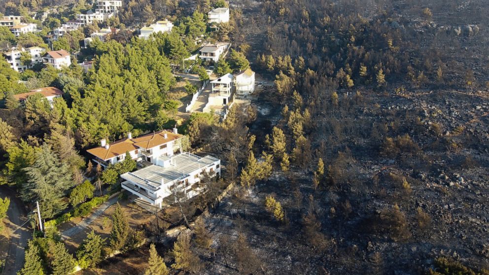 Greek firefighters battle huge wildfires with reinforcements