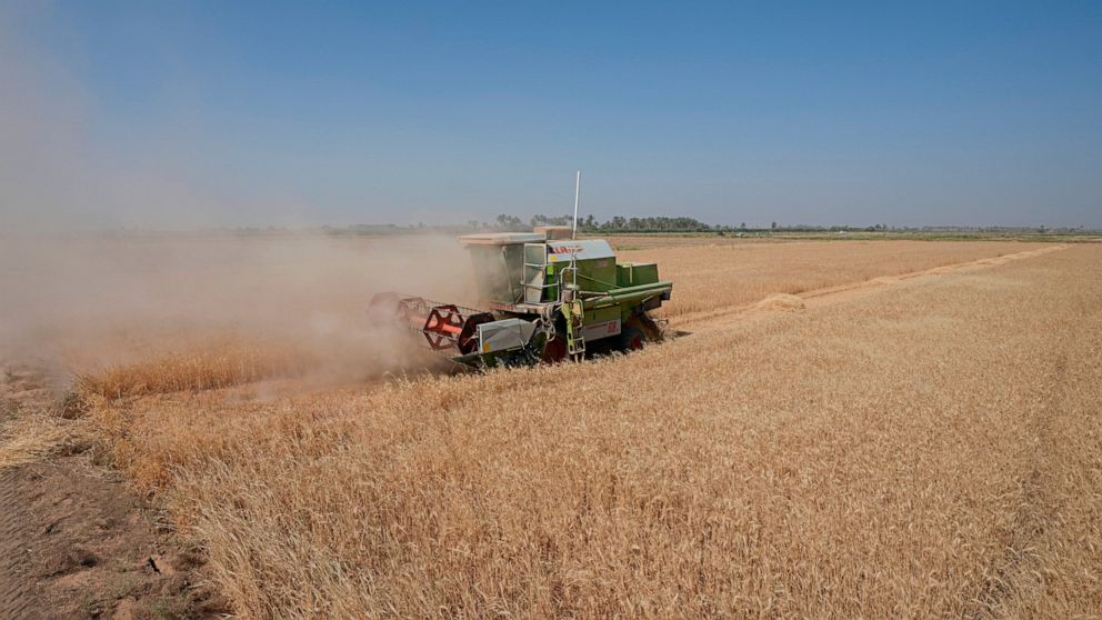A combine harvester at the middle of a wheat field harvesting crops in Yousifiyah, Iraq Tuesday, May. 24, 2022. At a time when worldwide prices for wheat have soared due to Russia's invasion of Ukraine, Iraqi farmers say they are paying the price for