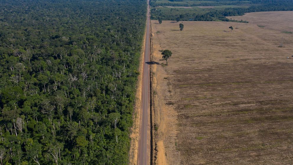 Brazil’s Amazon deforestation reaches record level for May