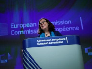 EU agrees terms for limited trade talks with US