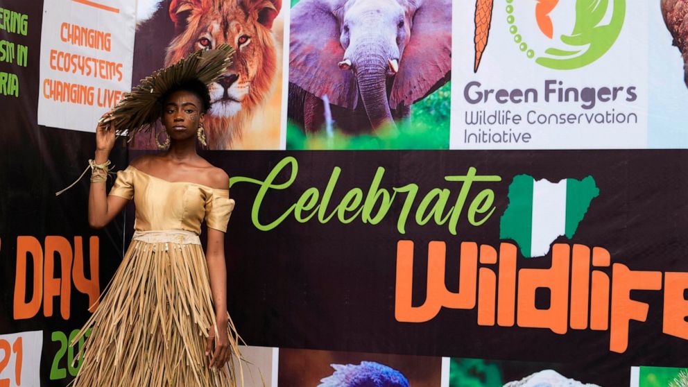 Model Obum Daniel Amarachukwu wears an outfit made from recycled palm front poses for a photograph at the green carpet before a 'trashion show' in Sangotedo Lagos, Nigeria, Saturday, Nov. 19, 2022. (AP Photo/Sunday Alamba)