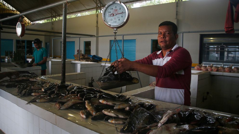 Vendor Antonio Rodrigues do Santos works at the fish market in Atalaia do Norte, Amazonas state, Brazil, Friday, June 10, 2022. According with the police a wildcat fisherman is the main suspect of the disappearance of British journalist Dom Phillips 