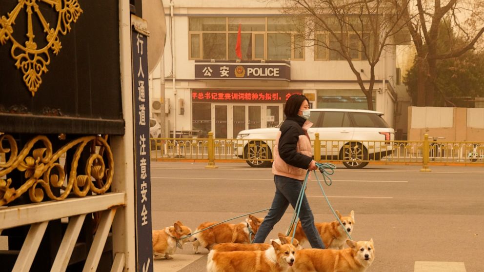 A woman walks her dogs during a sandstorm in Beijing, Monday, March 15, 2021. The sandstorm brought a tinted haze to Beijing's skies and sent air quality indices soaring on Monday. (AP Photo/Ng Han Guan)