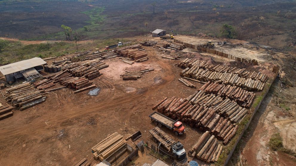 FILE - In this Sept. 2, 2019 file photo, logs are stacked at a lumber mill surrounded by recently charred and deforested fields near Porto Velho, Rondonia state, Brazil. Dozens of Brazilian corporations are calling for a crackdown on illegal logging 
