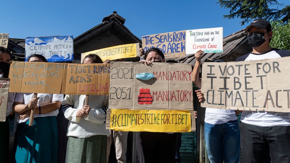 Campaigners stage climate protests across continents