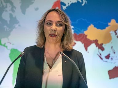 Renault sales and earnings drop in tough market