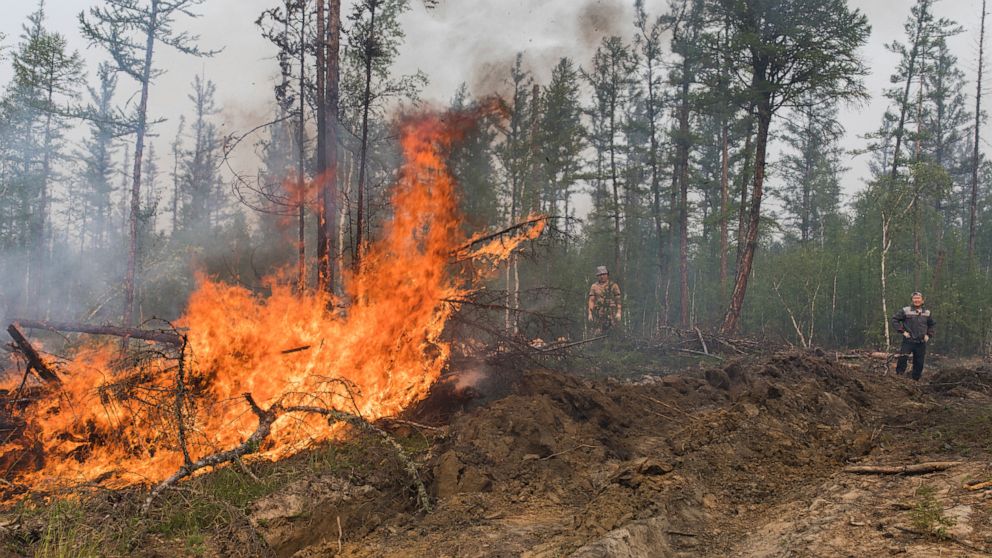 Wildfires in Russia's Siberia could endanger a power plant