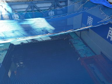 Removal of fuel in pool at Fukushima's melted reactor begins