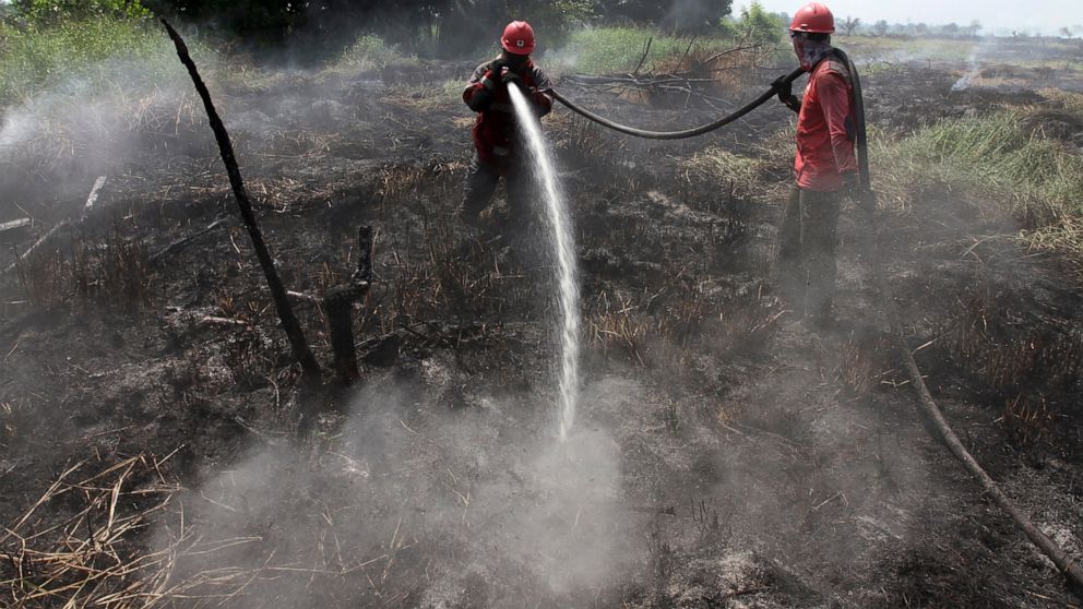 Fire fighters spray water to extinguish wild fire in Tapung, Riau province, Indonesia, Thursday, Aug. 1, 2019. A spate of forest fires burning throughout Indonesia has prompted six provinces to declare a state of emergency as thousands of security fo