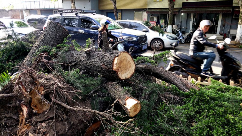 Extreme weather kills 11, injures 66 in eastern China