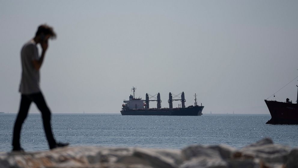 The Panama-flagged cargo ship Lady Zehma anchors in the Marmara Sea in Istanbul, Turkey, Friday, Sept. 2, 2022. The cargo ship carrying tons of grain from Ukraine was stranded in Istanbul’s Bosporus and had to be rescued early Friday. (AP Photo/Khali
