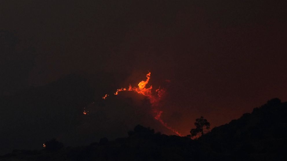 Cyprus: 4 found dead in 'most destructive' forest blaze