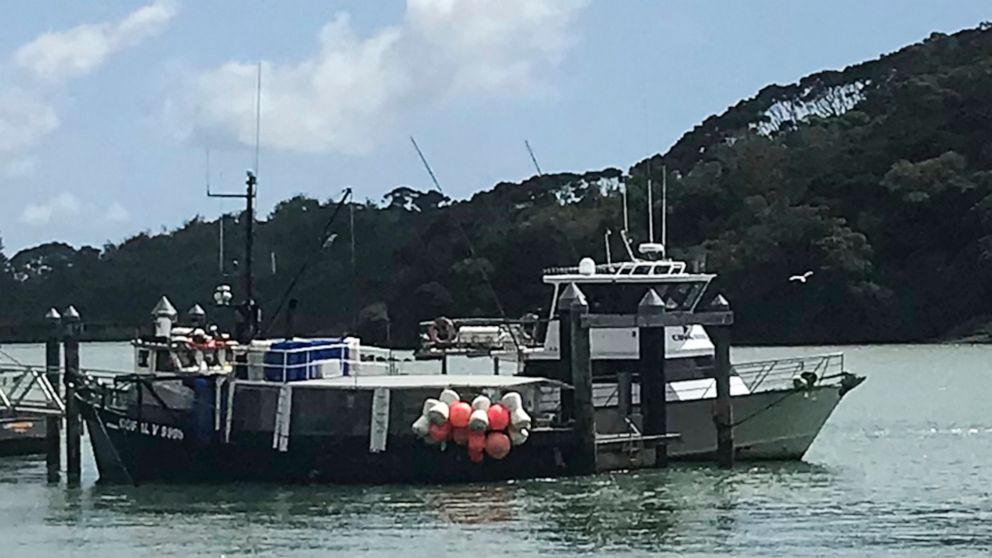 Boat sinks in New Zealand storm, 3 people dead, 2 missing