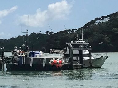  Fishing boat sinks in New Zealand storm, 4 dead, 1 missing