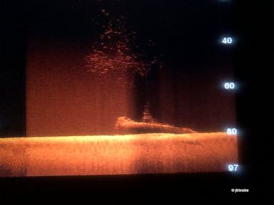 Divers in SE Asia may have found US submarine lost in WWII