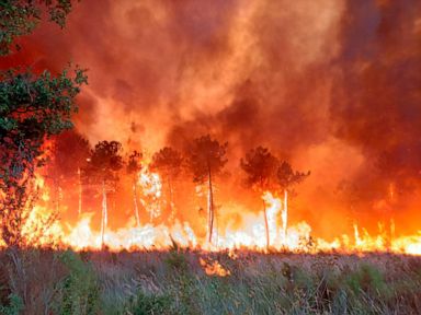 Fires ravage French forests near Atlantic as Europe heats up