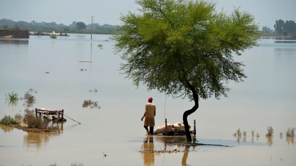 Deaths from flooding in monsoon drenched Pakistan near 1,000