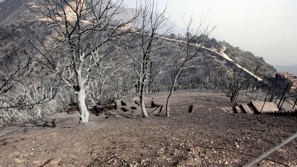 Burned trees are pictured near Tizi Ouzou some 100 km (62 miles) east of Algiers following wildfires in this mountainous region, Tuesday, Aug.10, 2021. Firefighters were battling a rash of fires in northern Algeria that have killed at least six peopl