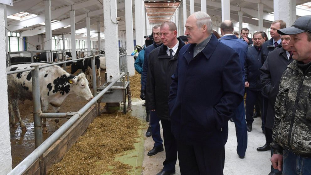 In this Tuesday, March 26, 2019 photo, Belarus President Alexander Lukashenko, center, surrounded by officials, visits a local farm in the village of Slizhi, 240 km (150 miles) north-east of Minsk, Belarus. Alexander Lukashenko has fired three offici