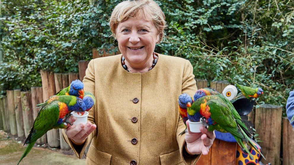 What a cracker! Merkel pecked by parrot