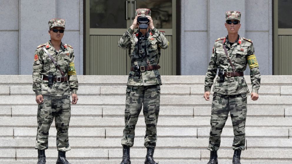 North Korean Border Guard Minecraft Skin