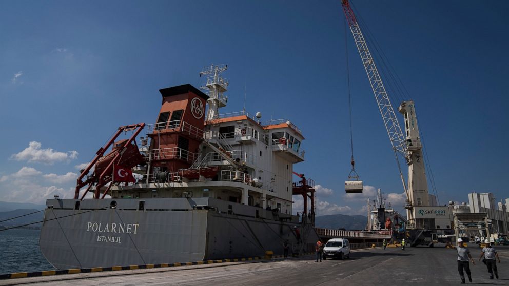 Ship carrying grain from Ukraine arrives in Istanbul