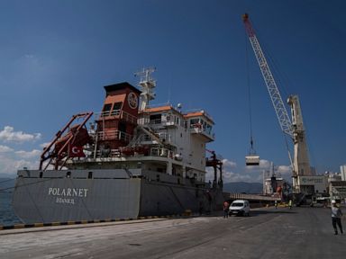 Ship carrying grain from Ukraine arrives in Istanbul