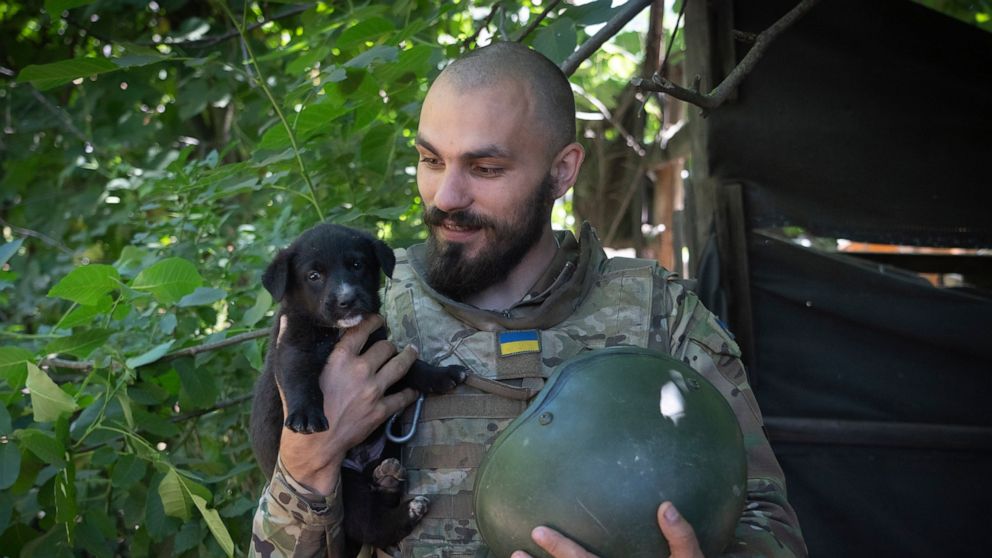 A Ukrainian soldier smiles as he looks at his puppy, in the Donetsk region, Ukraine, Saturday, July 2, 2022. (AP Photo/Efrem Lukatsky)
