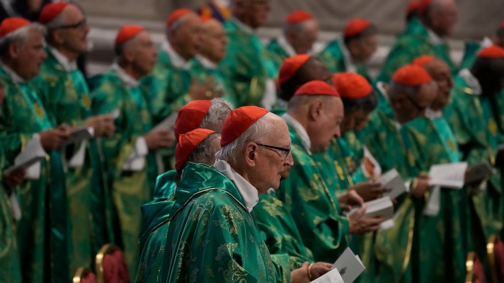 Pope meets with cardinals on future direction of church