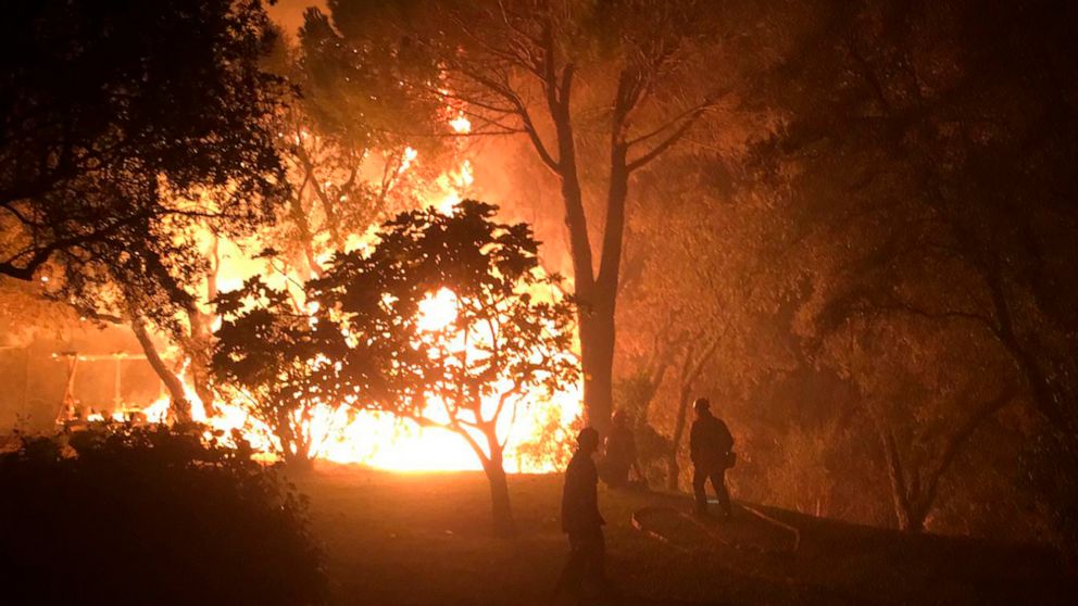 Thousands evacuated as fire sweeps through French forests