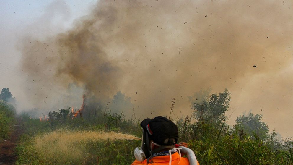 Indonesian province shuts schools due to forest fire haze  