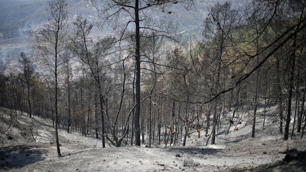 Israeli firefighters battle blaze near Jerusalem for 3rd day