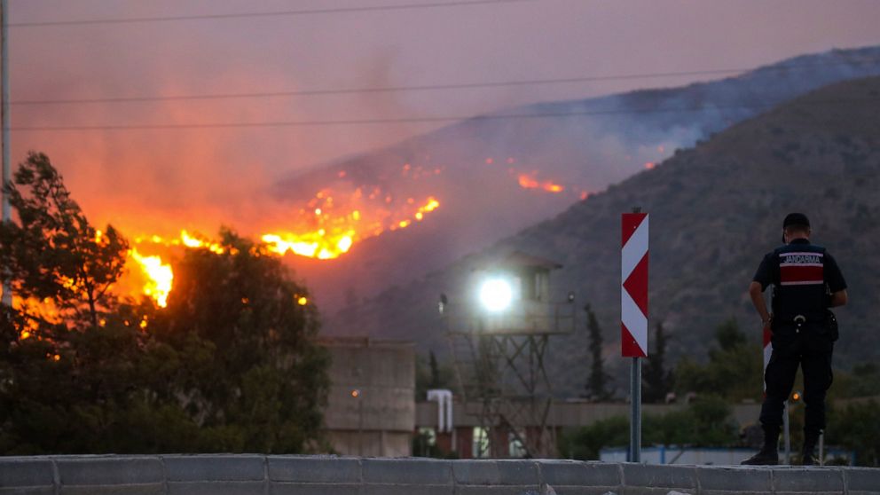 Turkey's govt tells skeptics burned areas will be reforested