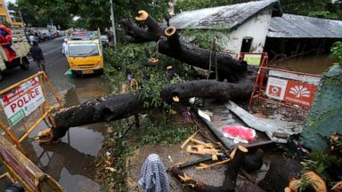 Cyclone Uproots Trees Floods Streets In Southern India Abc News