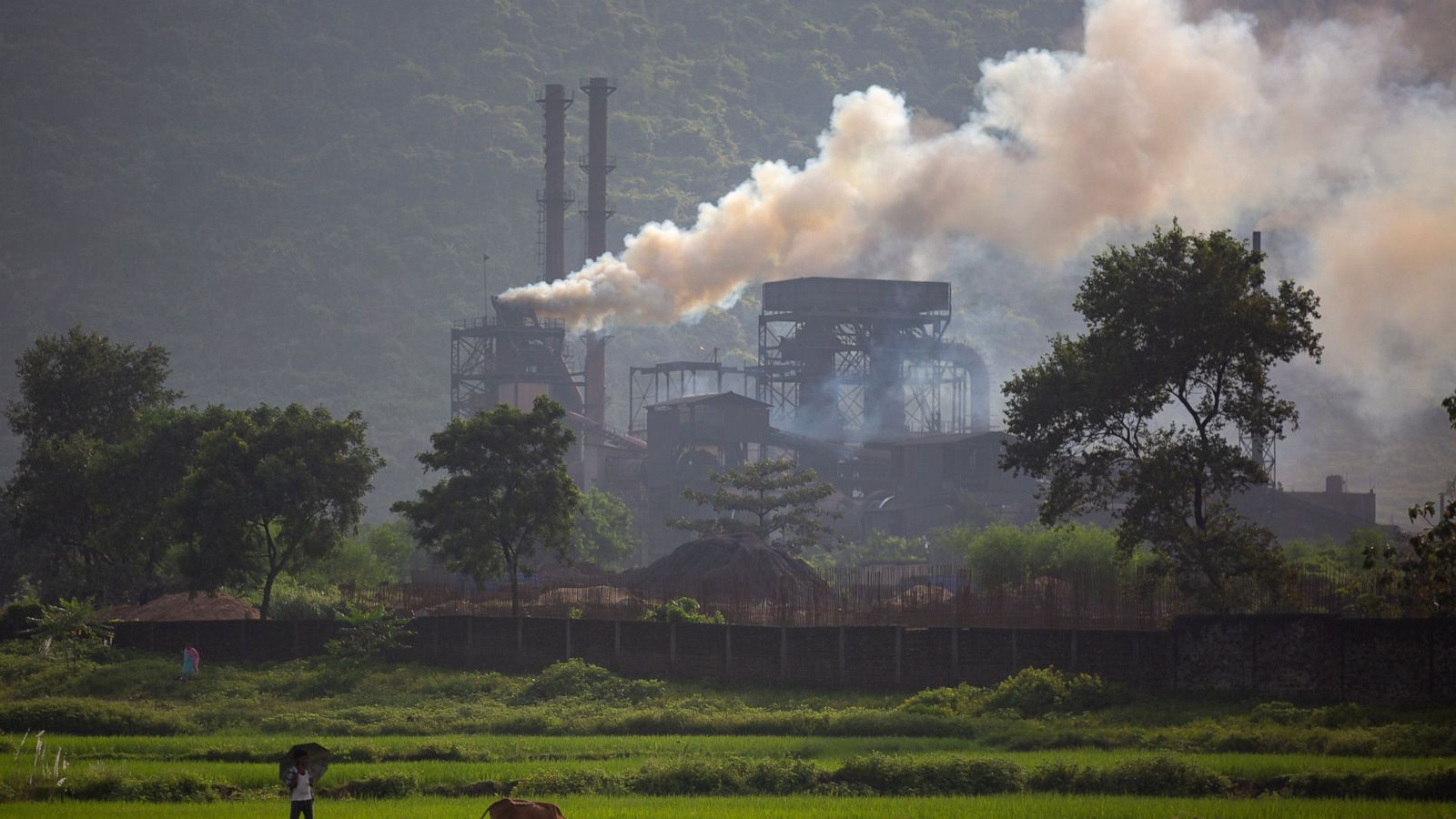 Months after pledge, India yet to submit emissions targets - ABC News