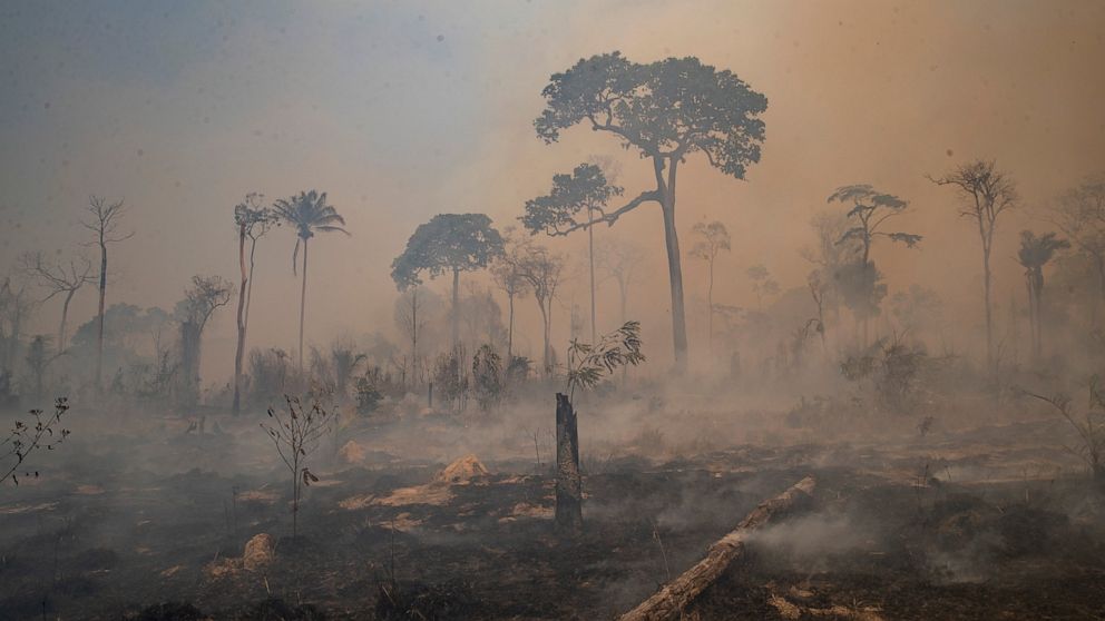 Brazil forest fire season underway and raising concern