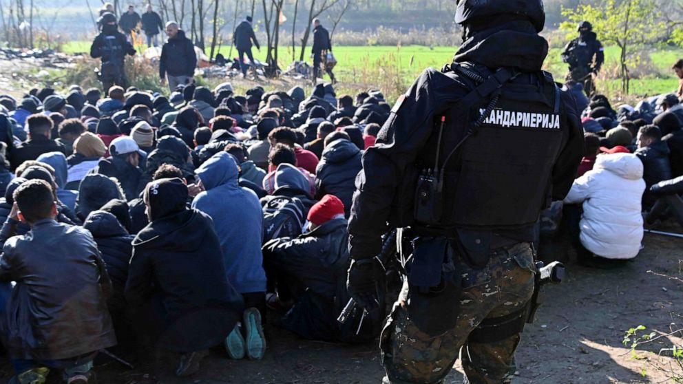 In this photo provided by the Serbian Interior Ministry, Serbian Gendarmerie officers detain migrants near the town of Horgos, Serbia, Friday, Nov. 25, 2022. One man was shot and wounded and a number of others were detained following reports of a cla